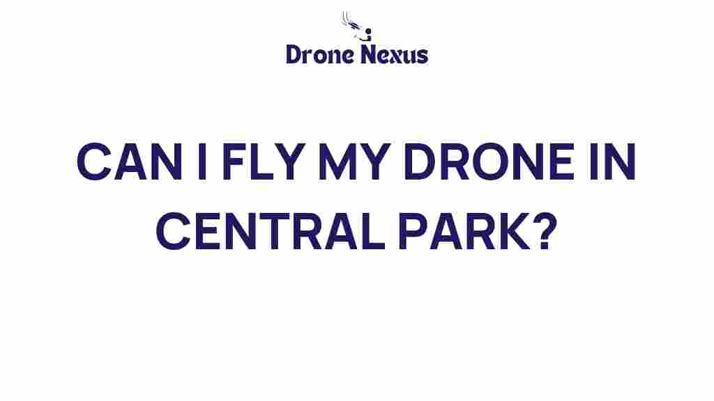 can-i-fly-my-drone-in-central-park