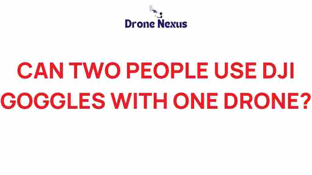 dji-goggles-two-people-drone