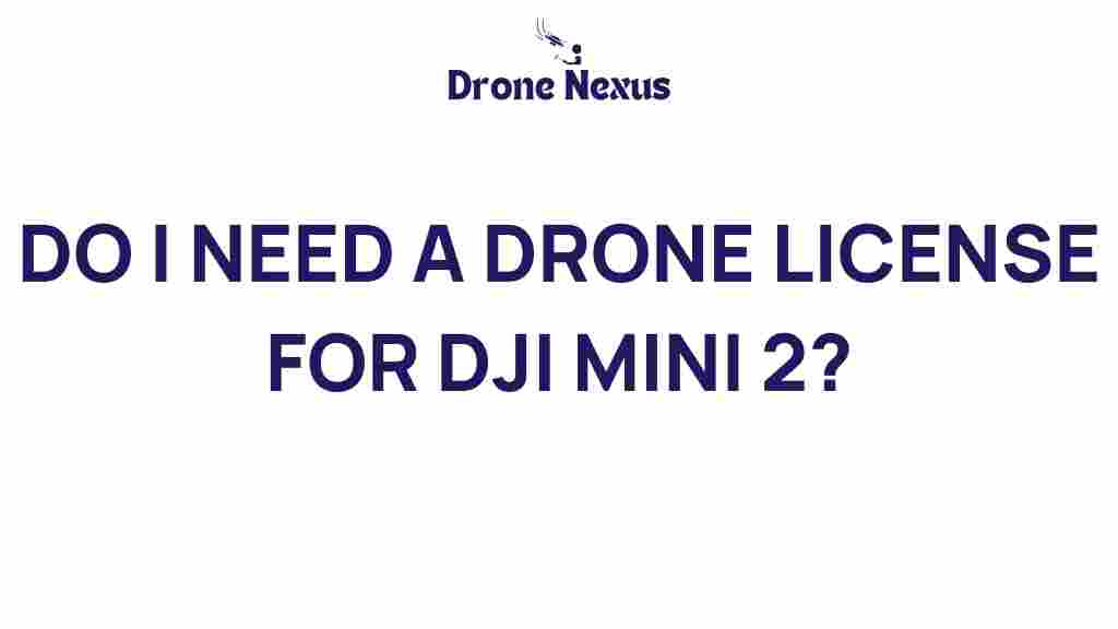 drone-license-dji-mini-2