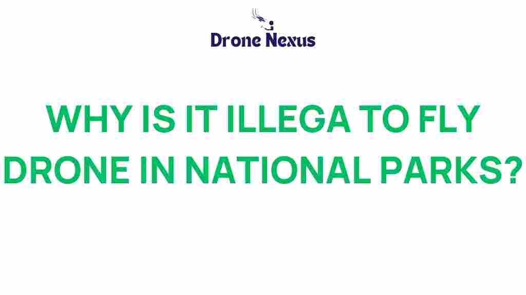 drones-in-national-parks-why-illegal