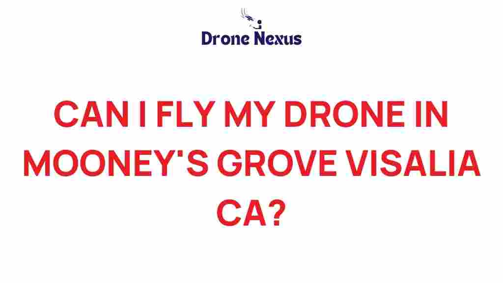 can-i-fly-my-drone-in-mooneys-grove