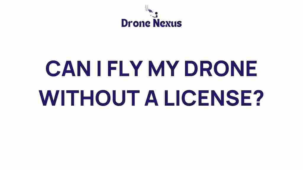 can-i-fly-drone-without-license