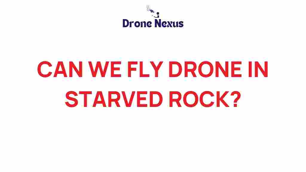 drones-in-starved-rock