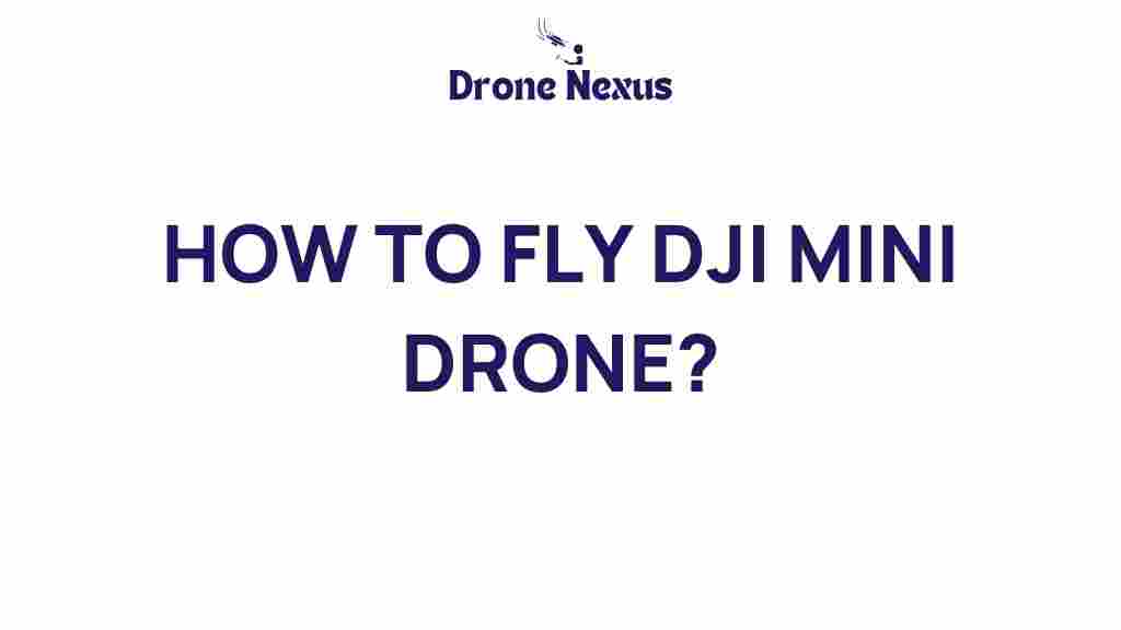 how-to-fly-dji-mini-drone