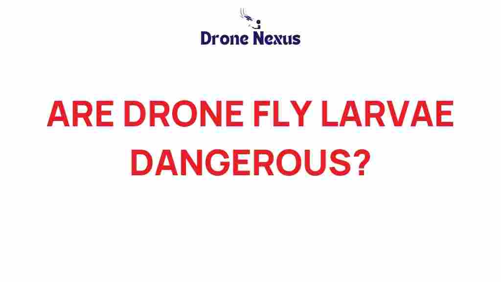 drone-fly-larvae-danger-garden