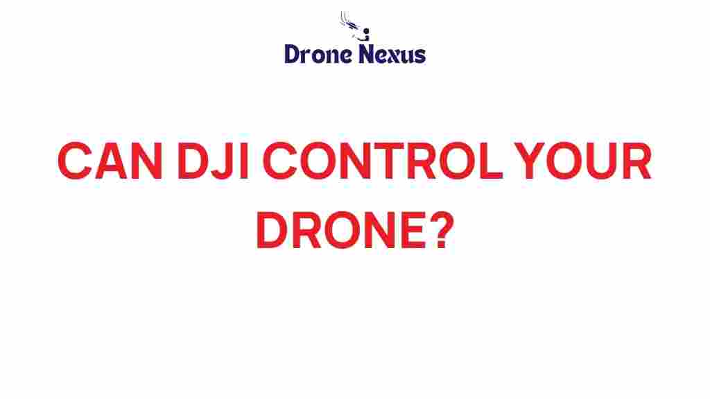 can-dji-control-your-drone