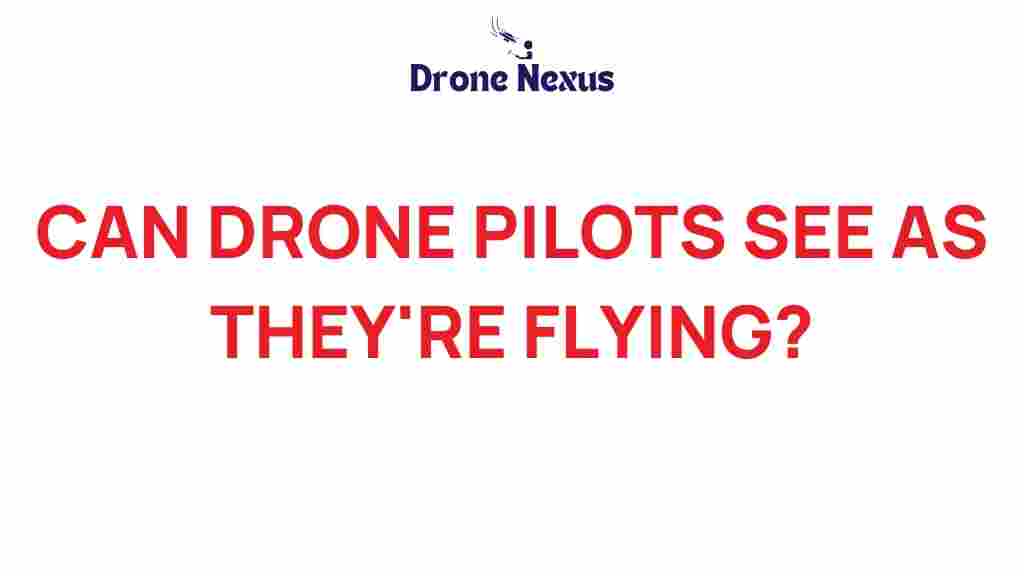 can-drone-pilots-see-flights