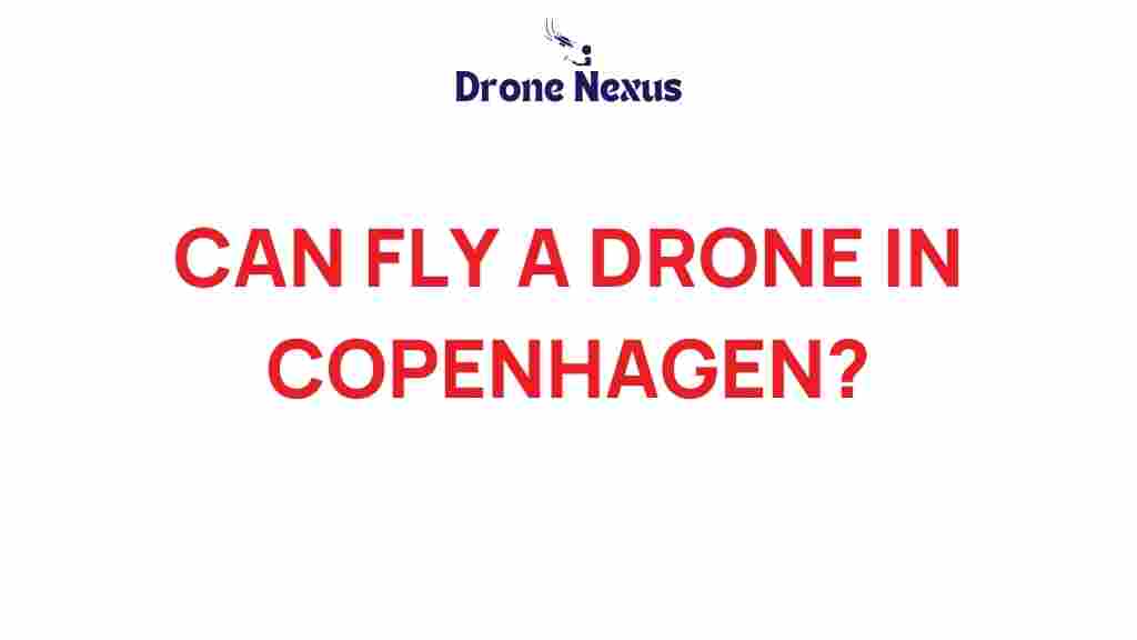can-fly-drone-copenhagen