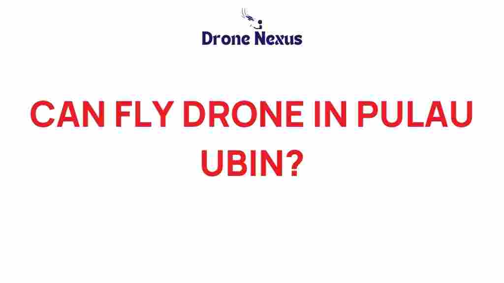 can-fly-drone-in-pulau-ubin