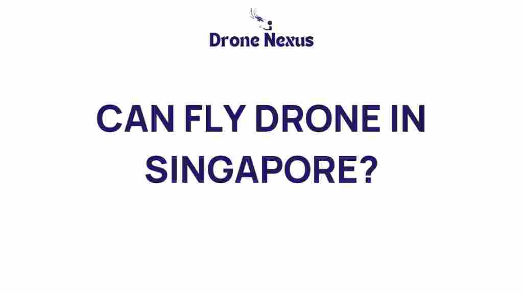 can-drones-fly-in-singapore