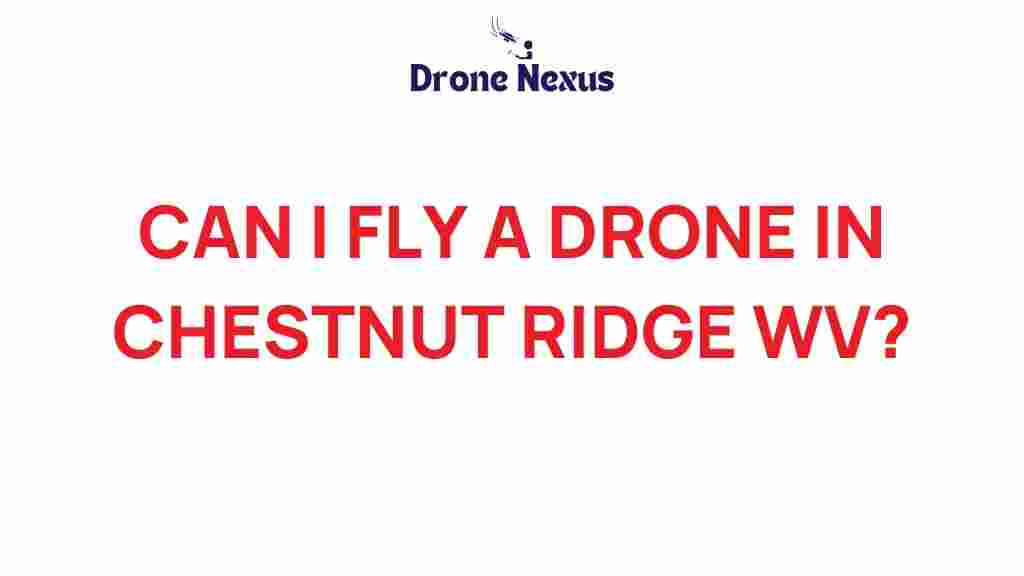 can-i-fly-a-drone-in-chestnut-ridge-wv