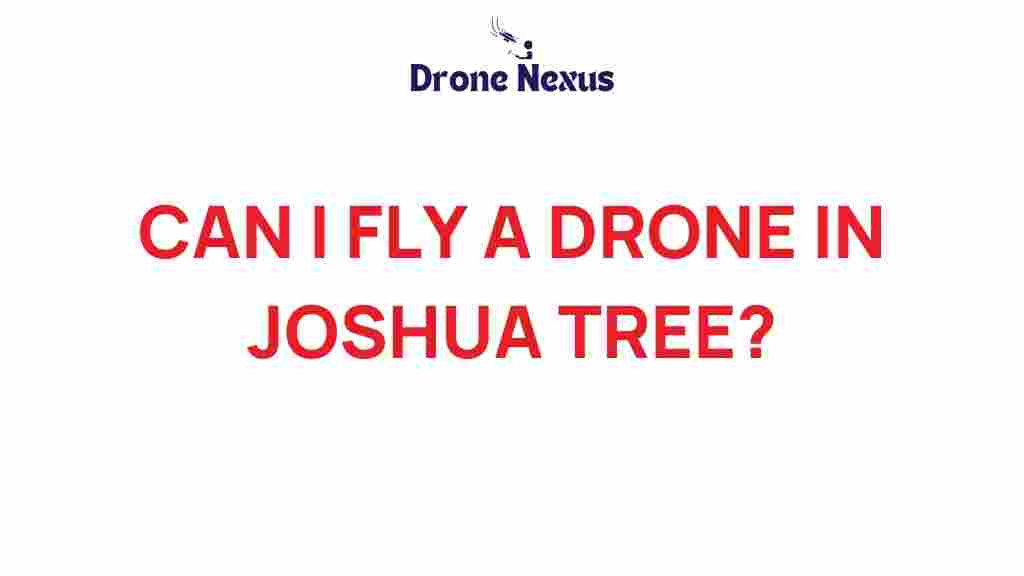 can-you-fly-drone-joshua-tree