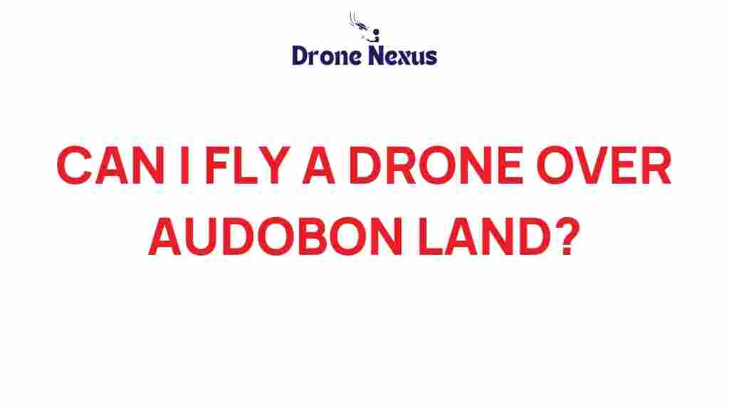 can-i-fly-drone-over-audubon-land