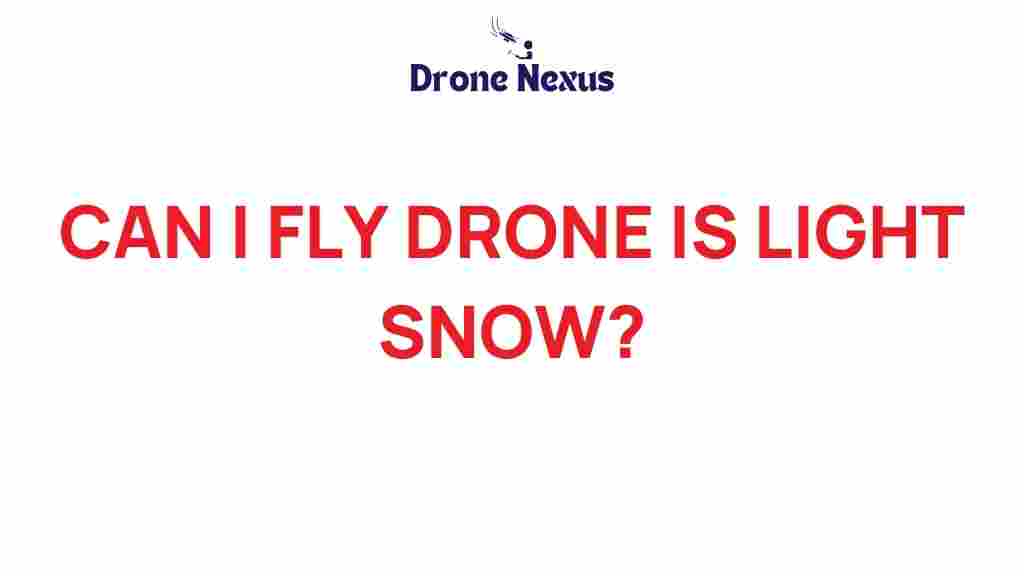can-i-fly-drone-light-snow