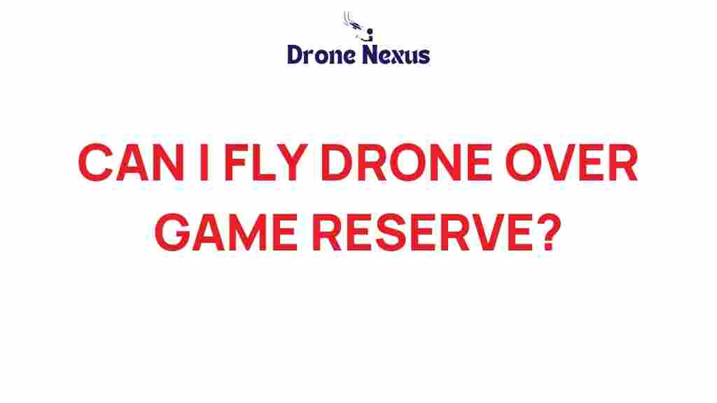 can-you-fly-drone-game-reserve