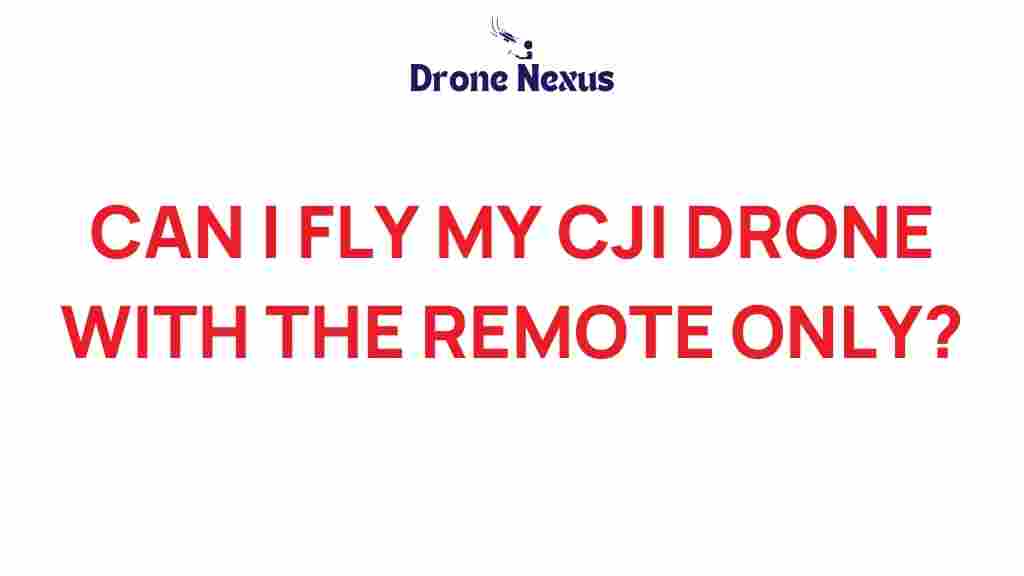 can-i-fly-my-dji-drone-remote