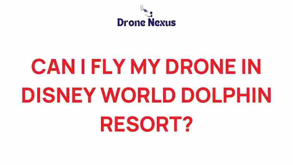 can-i-fly-drone-disney-world-dolphin-resort