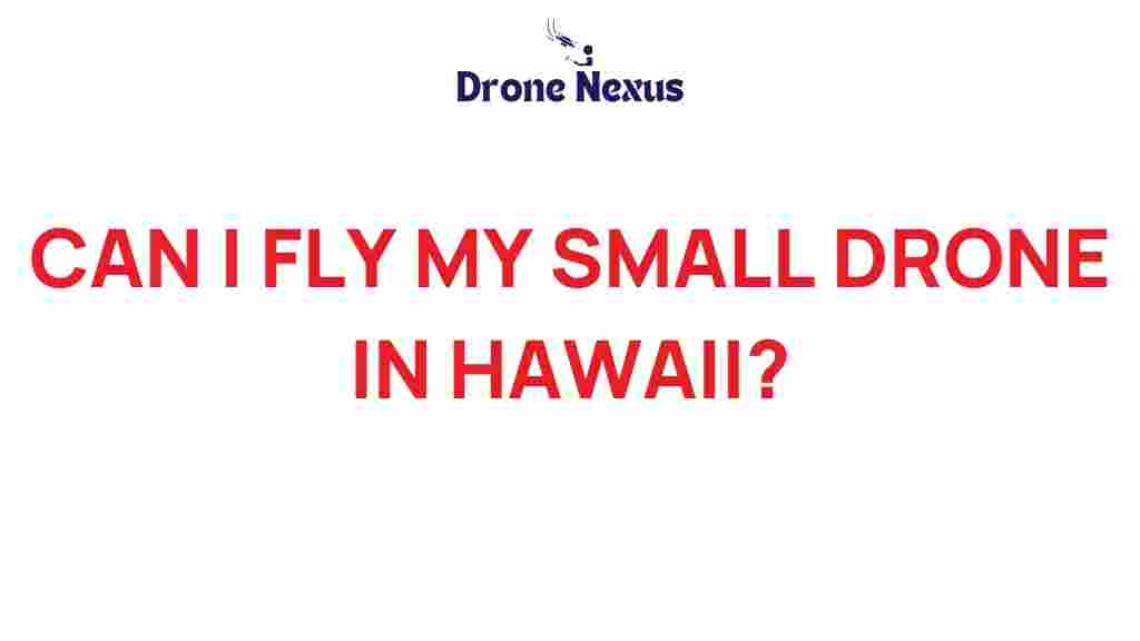 can-i-fly-my-small-drone-in-hawaii