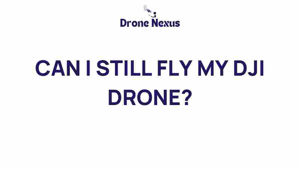 can-i-still-fly-my-dji-drone