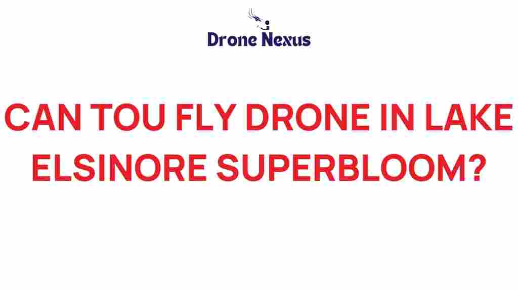 can-you-fly-drone-lake-elsinore-superbloom