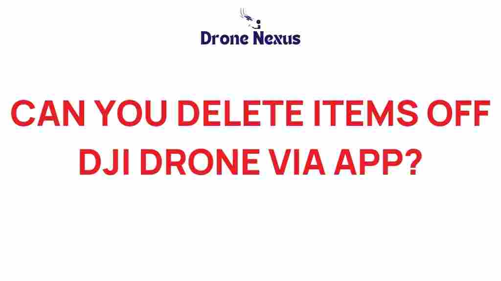 delete-items-dji-drone-app