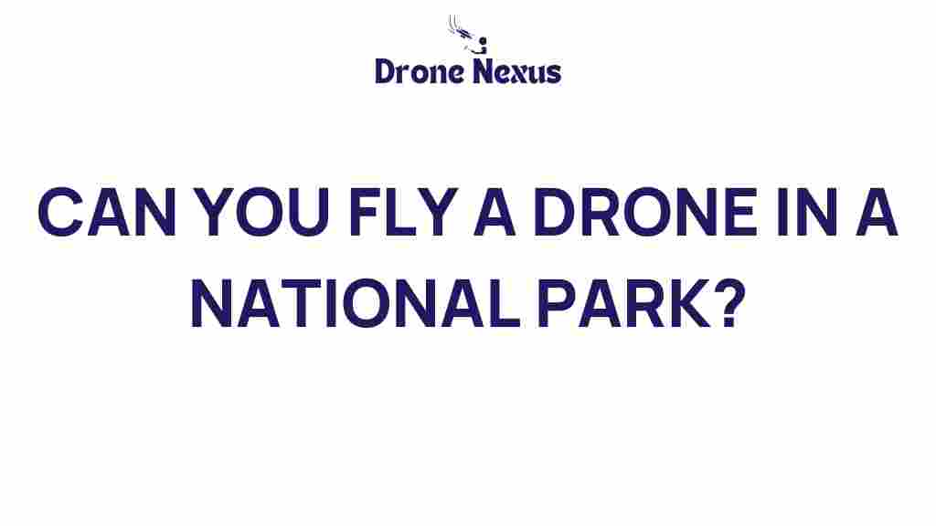 can-you-fly-drone-national-park