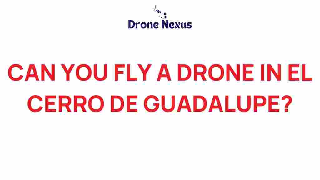 can-you-fly-drone-el-cerro-de-guadalupe