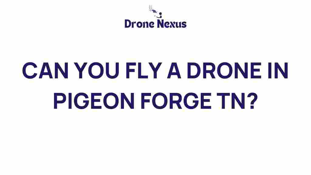can-you-fly-drone-pigeon-forge-tn