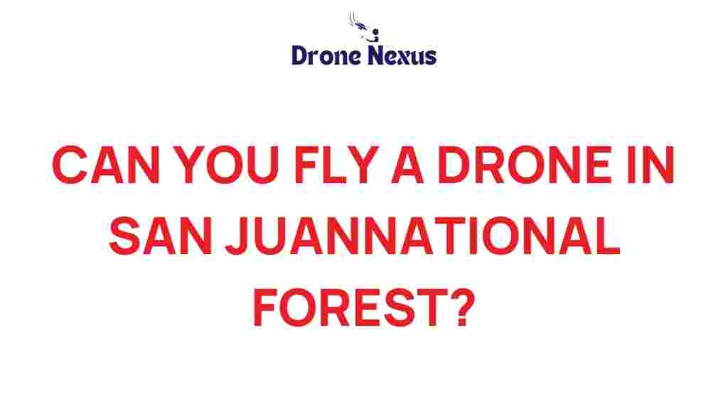 can-you-fly-drone-san-juan-national-forest