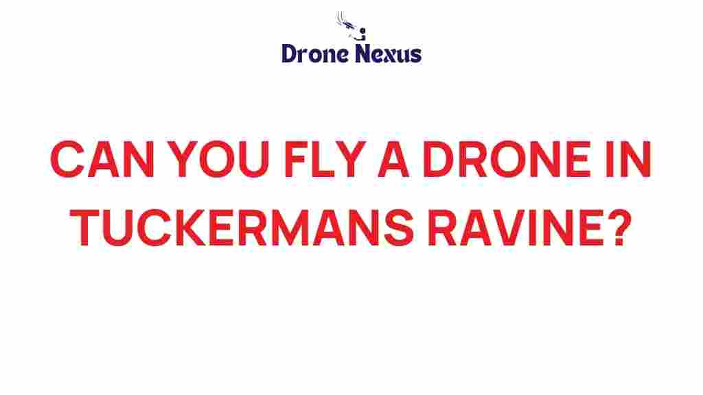 can-you-fly-drone-tuckermans-ravine