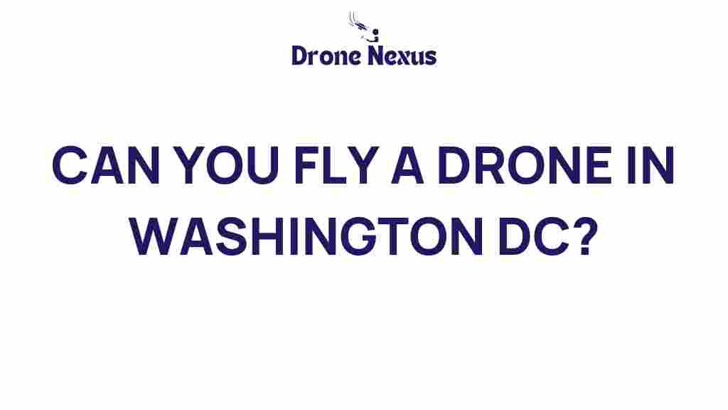 can-you-fly-a-drone-in-washington-dc