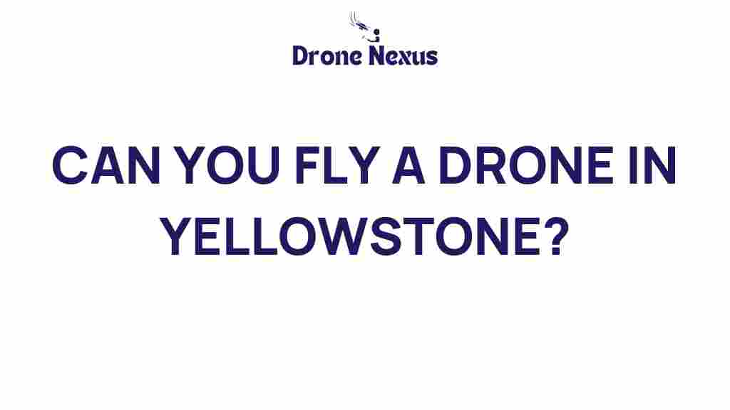 can-you-fly-drone-yellowstone