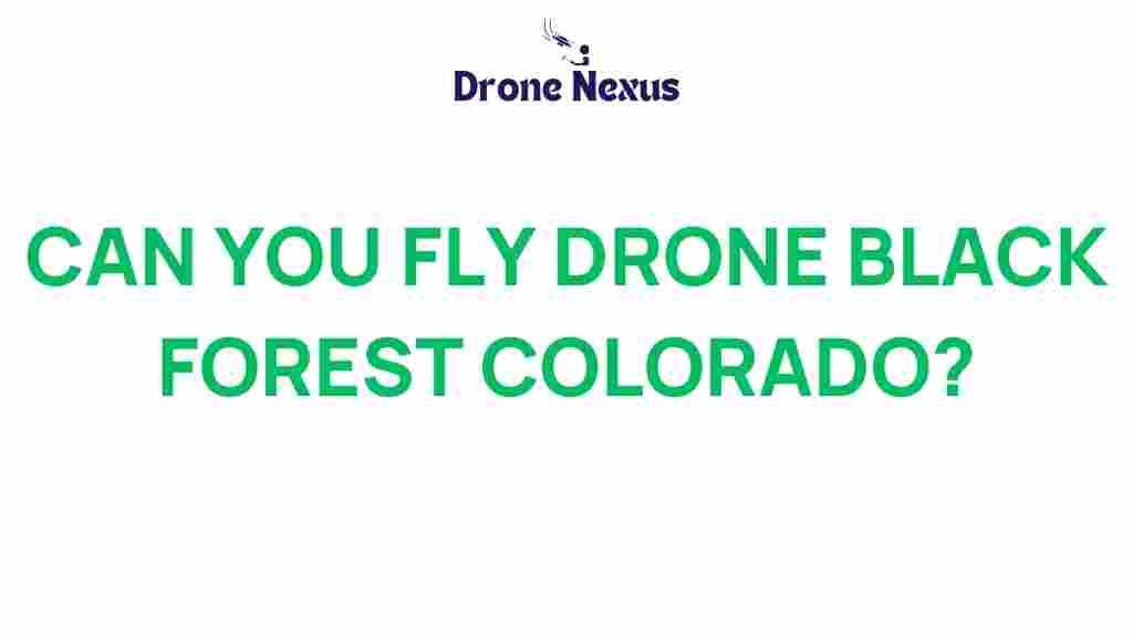 can-you-fly-drone-black-forest-colorado