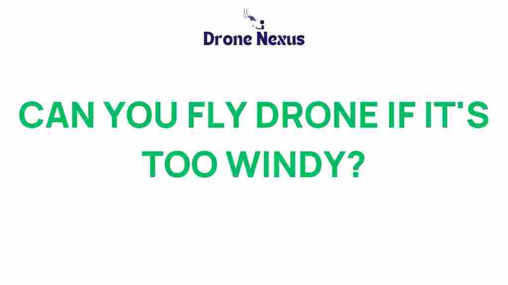 can-you-fly-drone-windy-conditions