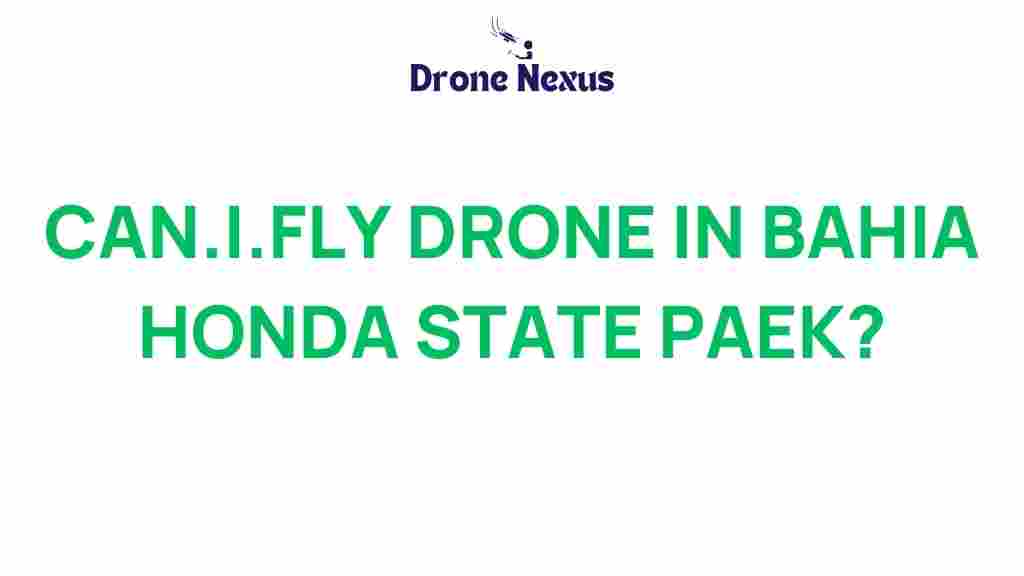 can.i.fly.drones.bahia-honda-state-park