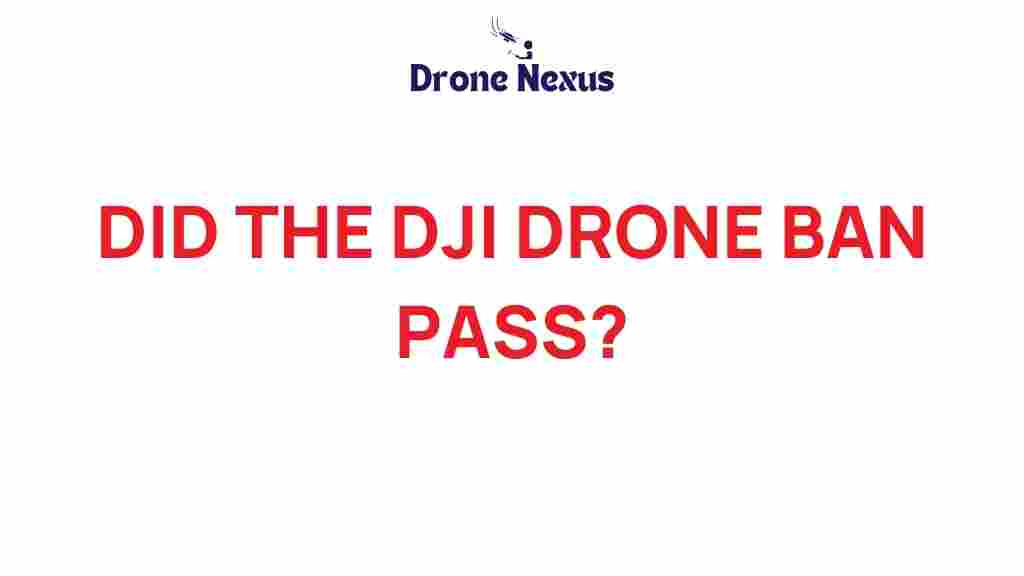 dji-drone-ban-pass