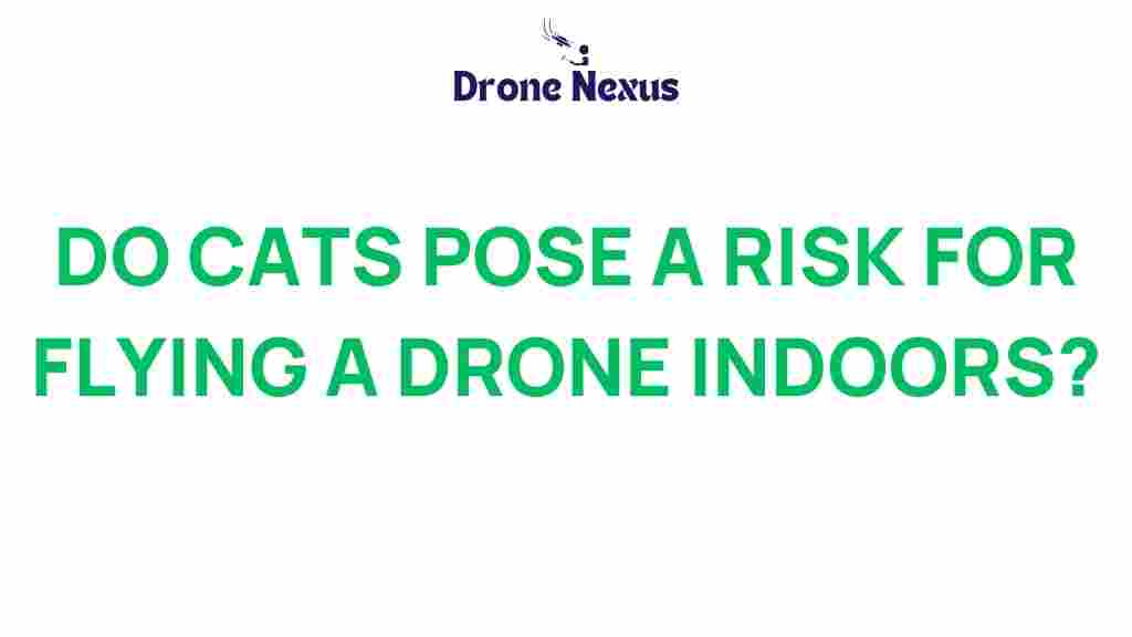 do-cats-pose-risk-flying-drones-indoors