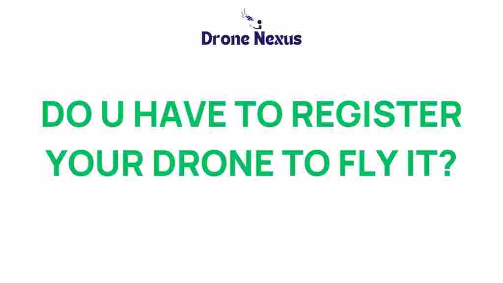 drone-registration-fly