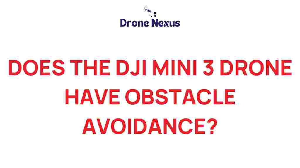 dji-mini-3-drone-obstacle-avoidance