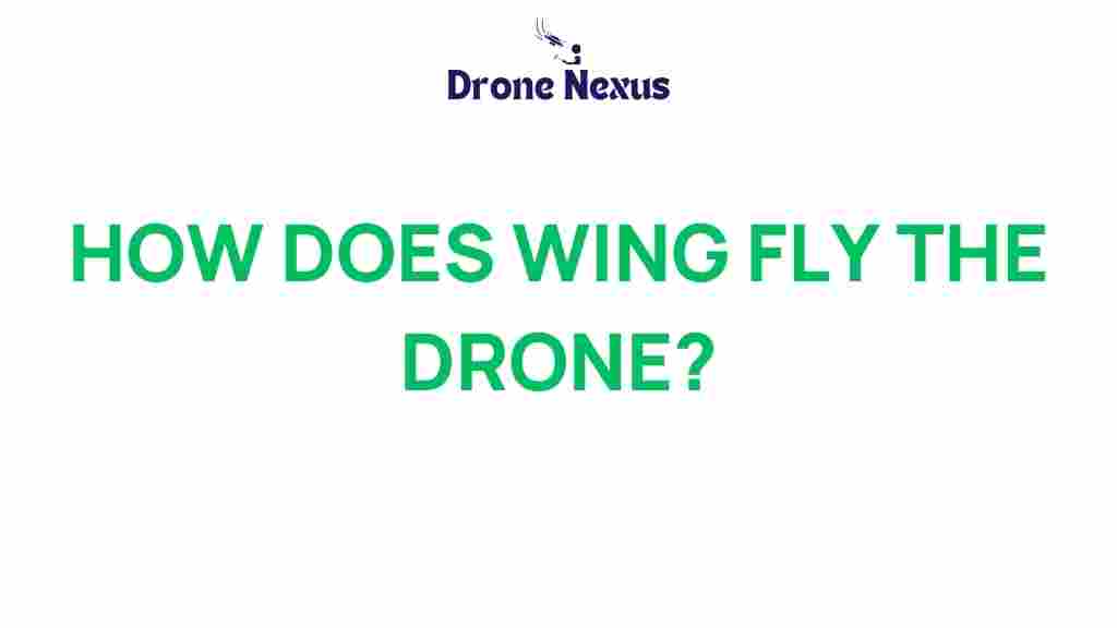 wing-fly-drone-delivery