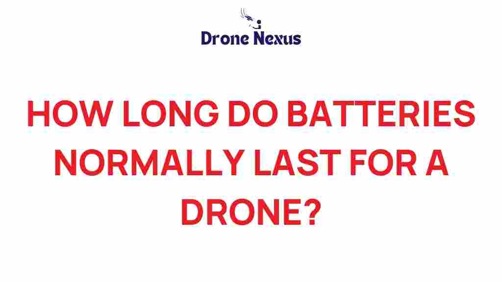 drone-batteries-life