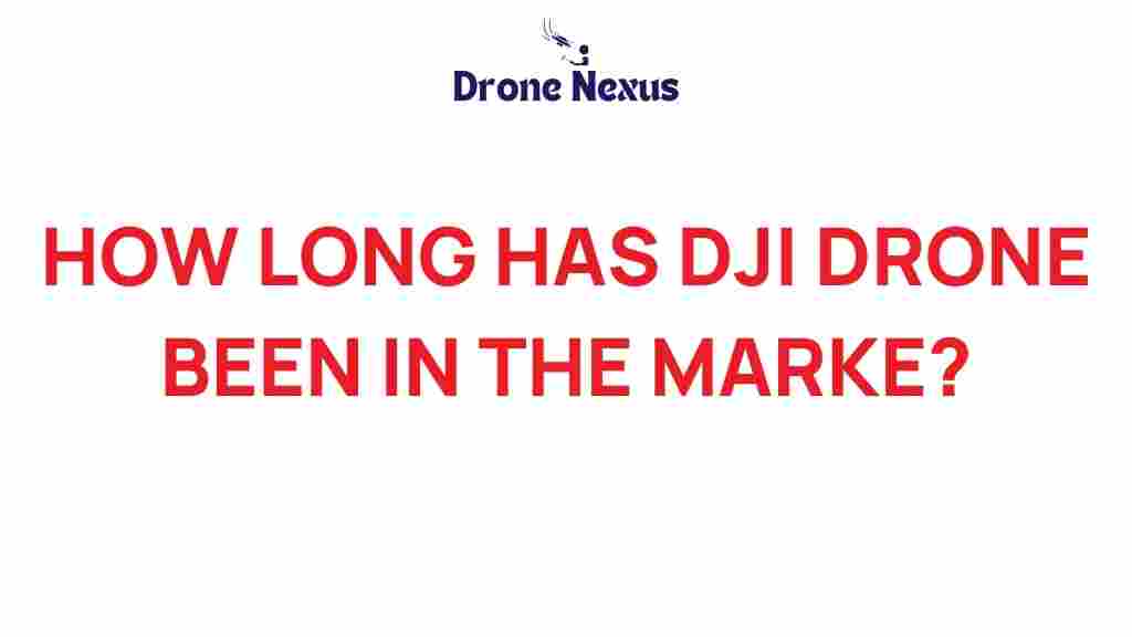 dji-drones-market-history