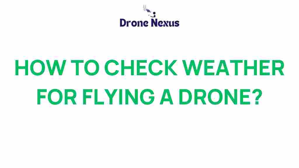 drone-weather-check