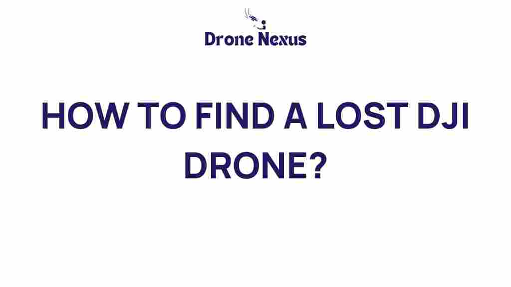 how-to-find-a-lost-dji-drone