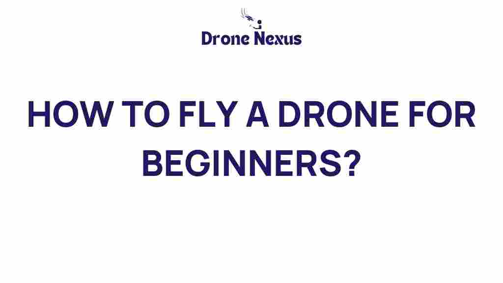 how-to-fly-a-drone-for-beginners