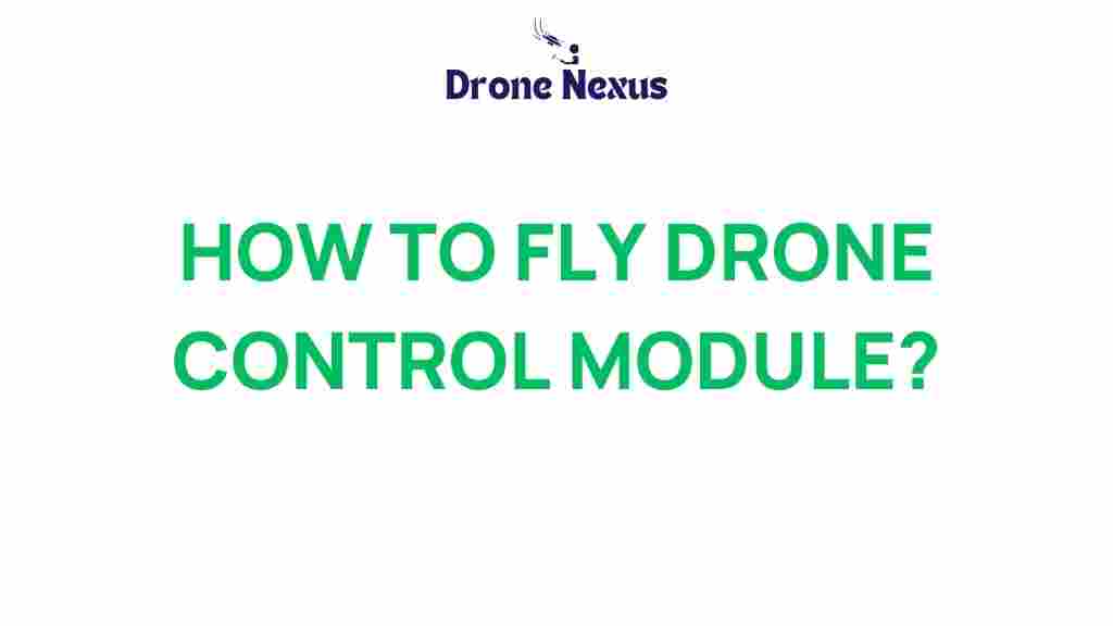 drone-control-secrets-flight