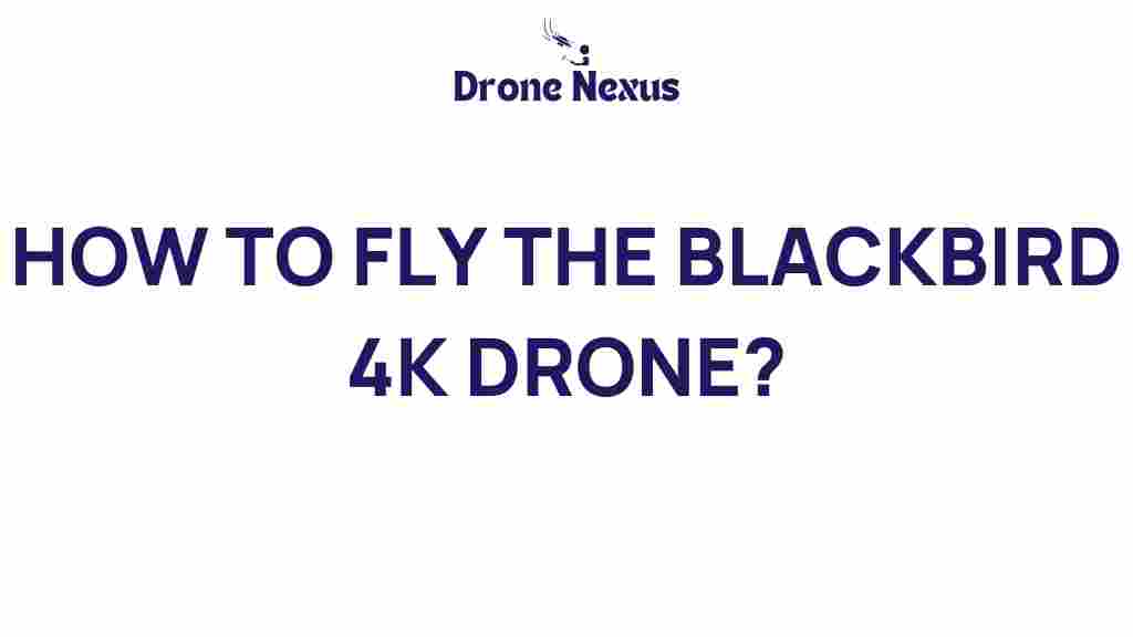 blackbird-4k-drone-flying-tips