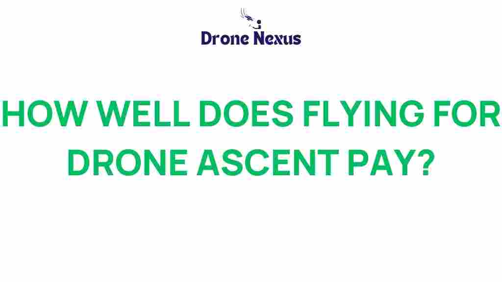 drone-ascent-profitability