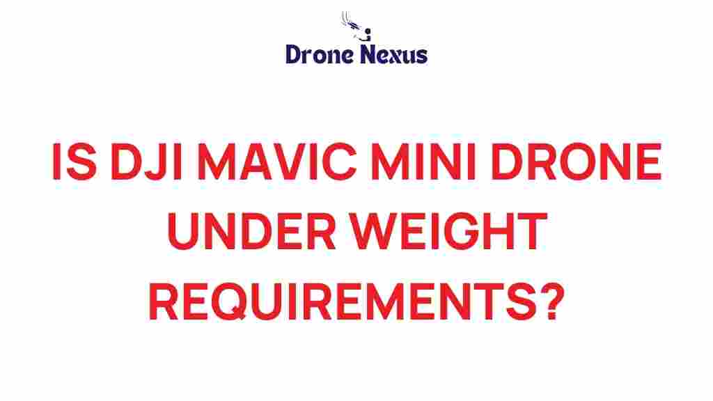 dji-mavic-mini-drone-weight-requirements