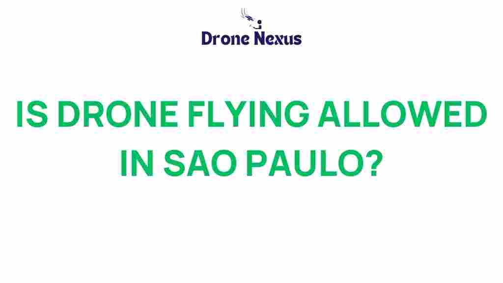 drone-flying-allowed-sao-paulo